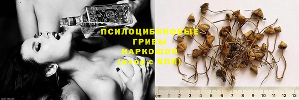 прущий лед Алзамай
