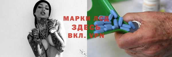 прущий лед Алзамай