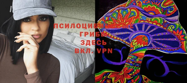 прущий лед Алексеевка